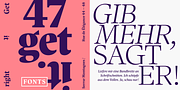 Antonia, a Serif Font by Typejockeys (Thumbnail 4 of 6)
