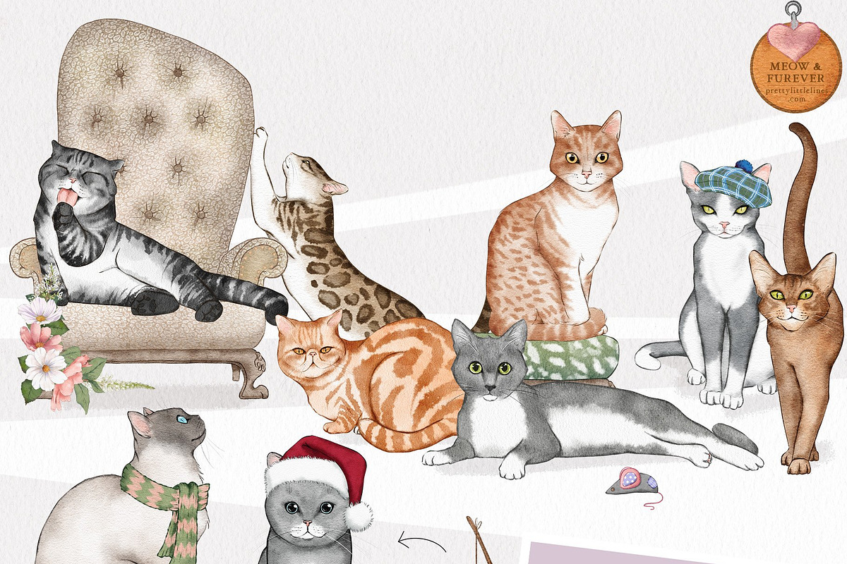 Pet Illustrations Patterns & Borders, a Graphic by Pretty Little Lines (Photo 17 of 29)