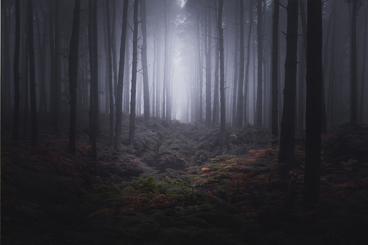 64 Lightroom Presets: Core Set, an Action Add-On by Frederick & Lightroom (Photo 12 of 15)
