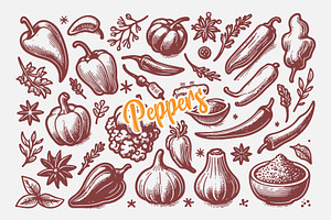 Hand Drawn Peppers and Herbs Coll, a Food Illustration by MkStudio