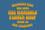Albern - A Groovy 70s Font, a Serif Font by The Type Fella (Thumbnail 3 of 6)