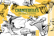 Chanterelles. Mushroom collection, a Food Illustration by Alena Kaz (Thumbnail 1 of 3)