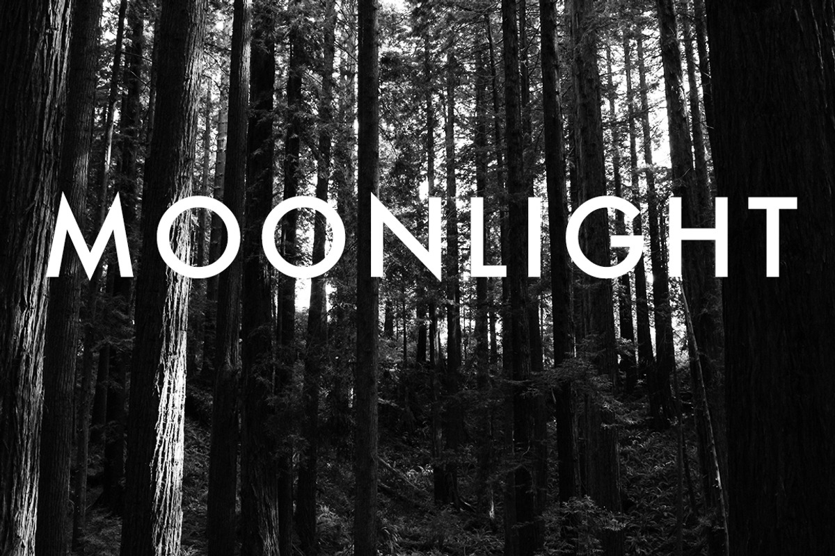 Quick B+W, an Action Add-On by Little Type House (Photo 5 of 11)