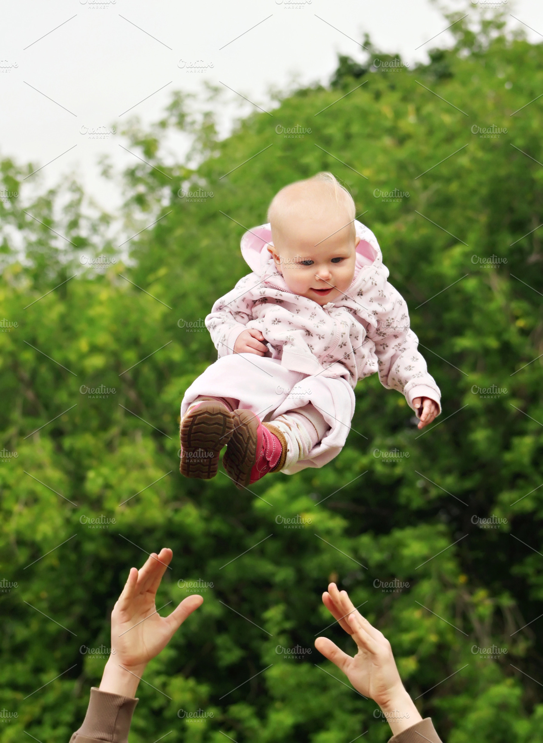 Baby fly, a Photo by saiko3p