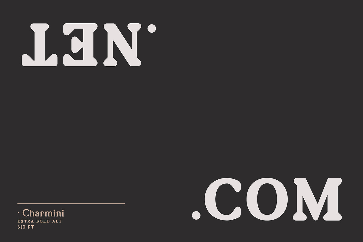 Charmini. Serif font family. preview 7