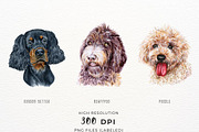 100+ Watercolor Dog Breeds - UPDATE, an Animal Illustration by ArtbyHien (Thumbnail 2 of 9)