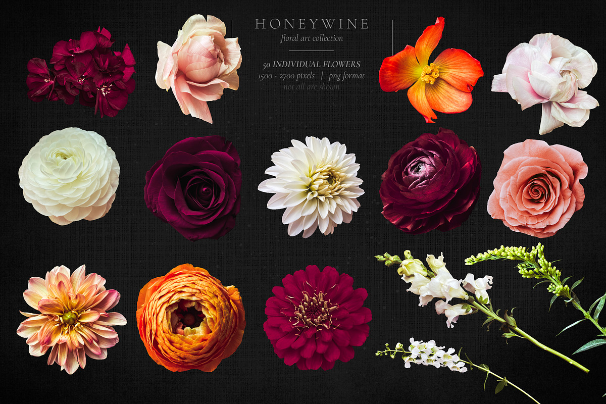 Honeywine Floral Art Collection, an Object Graphic by Eclectic Anthology (Photo 17 of 19)