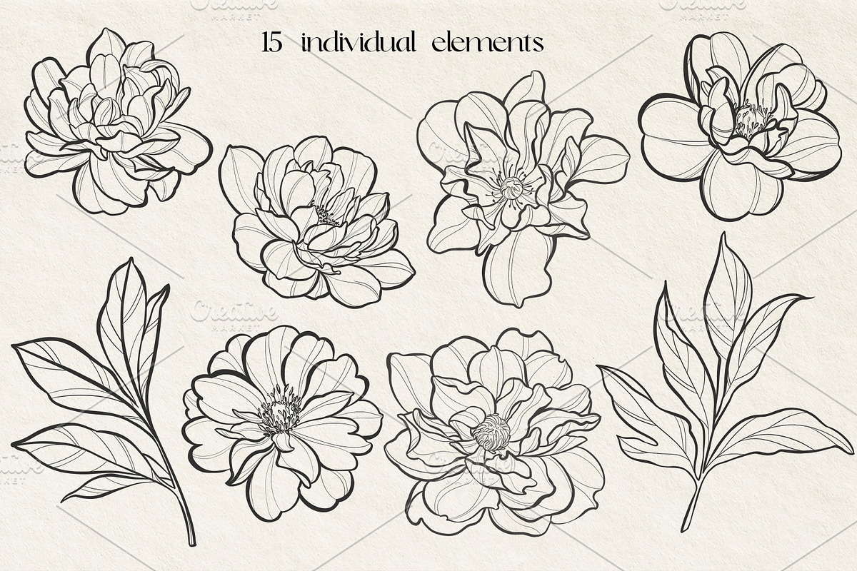 Peonies SVG line art PNG, EPS, PDF, a Decorative Illustration by DamriNa art (Photo 2 of 5)