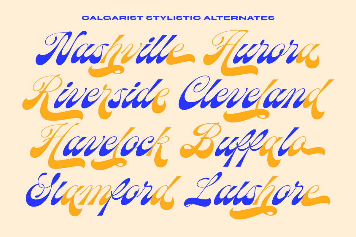 Calgarist Script, a Script Font by IronbirdCreative (Photo 7 of 14)