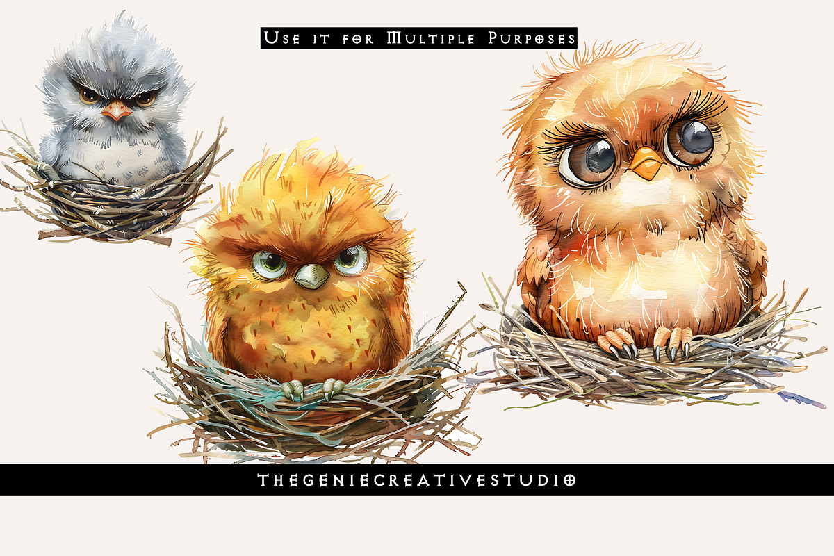 Grumpy Bird in Nest PNG Clipart, an Animal Illustration by Geniecreativestudio (Photo 6 of 9)