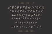 Lostown Monoline Script, a Script Font by Rochart (Thumbnail 3 of 13)