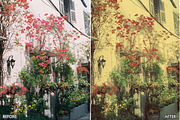 Vintage Retro Grain Lightroom Preset, a Preset Add-On by AAA Presets (Thumbnail 20 of 20)