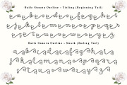 Baile Guneta, a Script Font by TM Type (Thumbnail 9 of 10)