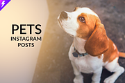 Pets Instagram Templates, a Social Media Template by Jaisivakumar (Thumbnail 1 of 6)