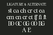 Staller - A Modern Beauty Font, a Serif Font by Marvadesign (Thumbnail 7 of 7)