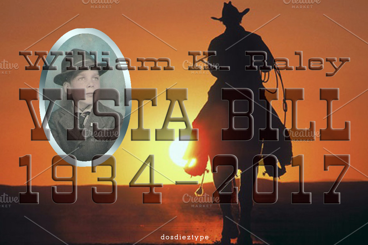 Vista Bill Normal preview 4