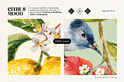 Citrus mood-summer seamless patterns, a Pattern Graphic by Pamyatka Shop (Thumbnail 13 of 13)