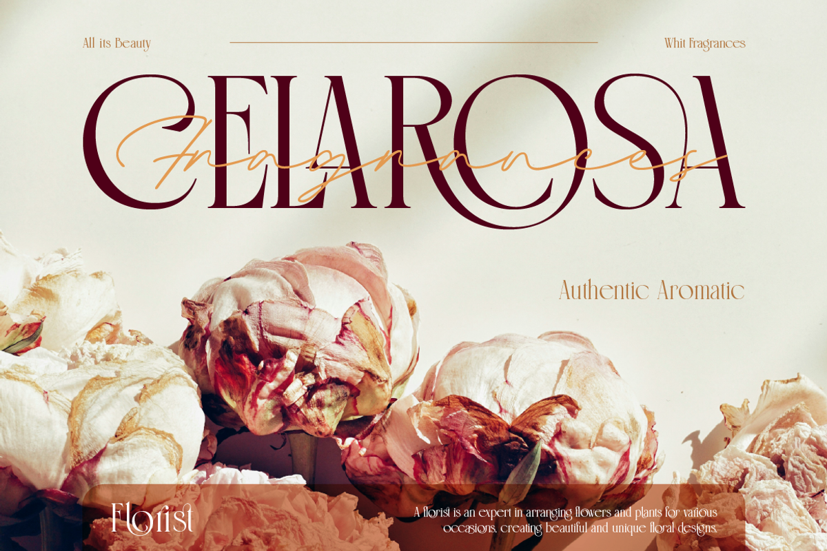 Aqualim Signature - Duo Font, a Serif Font by Burntilldead (Photo 2 of 12)