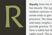 Civane, a Sans Serif Font by insigne (Thumbnail 4 of 5)