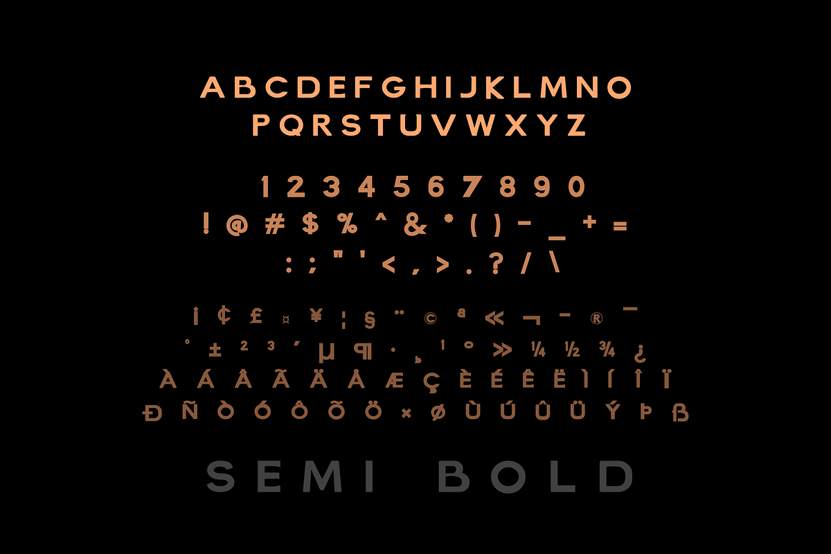 Fosmer - Modern Vintage Sans Serif, a Sans Serif Font by Zakazis (Photo 11 of 12)