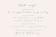Delicate Elegant Script & Ornaments, a Script Font by Mila Garret (Thumbnail 10 of 11)