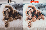 Mobile Lightroom Presets, an Action Add-On by Lavinsky Art Store (Thumbnail 4 of 16)