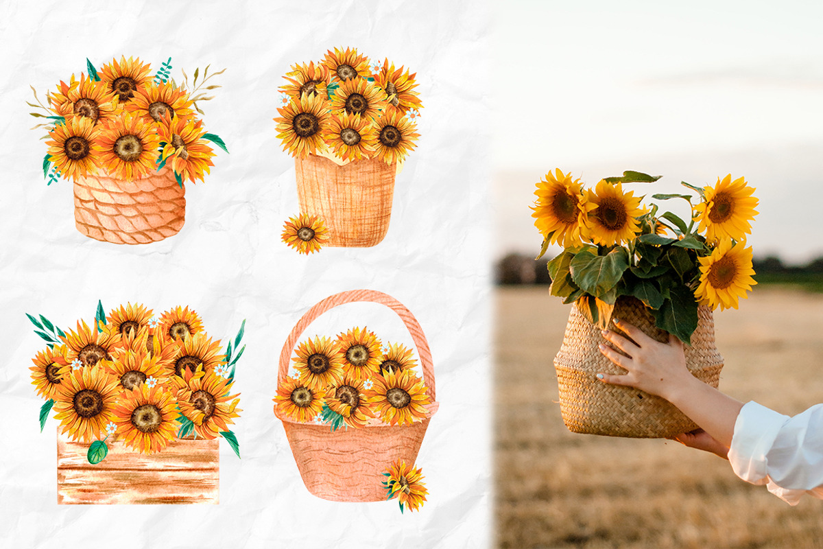 Watercolor Sunflowers Collection, an Illustration by Art Dari Autumn (Photo 13 of 15)