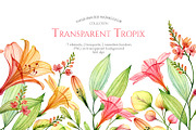Watercolor Tropical Floral Set, a Decorative Illustration by Akvarelldesign (Thumbnail 1 of 3)