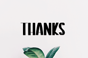 Simple Garden | Script Font, a Script Font by Scratchones (Thumbnail 2 of 8)