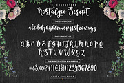 Nostalgic Script, a Script Font by Dhan Studio (Thumbnail 8 of 8)