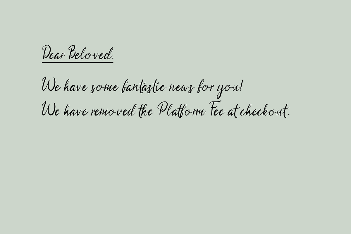 Eliese Beauty Font, a Script Font by Jrray Studio (Photo 5 of 6)