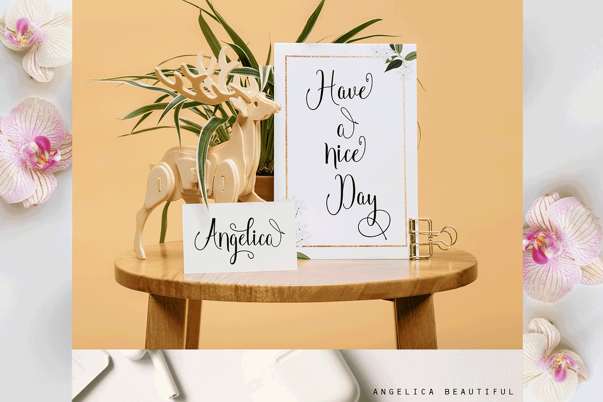 Angelica (Black Friday Sale) preview 8