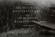 Dreaming – Elegant Chic Serif, a Serif Font by BrandSemut (Thumbnail 10 of 10)