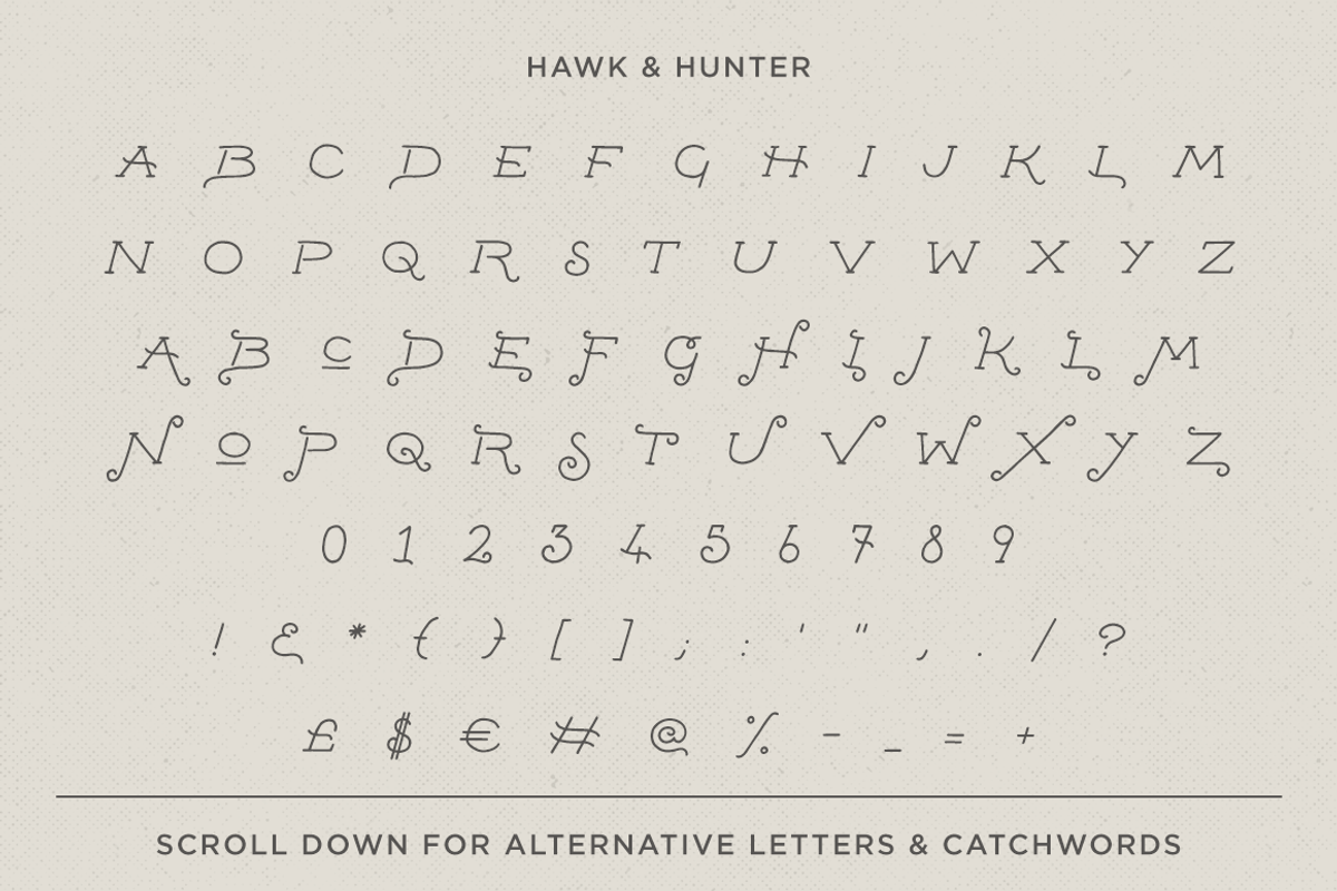 Hawk & Hunter + Extras preview 3