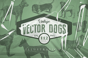 Dogs Vintage Illustrations
