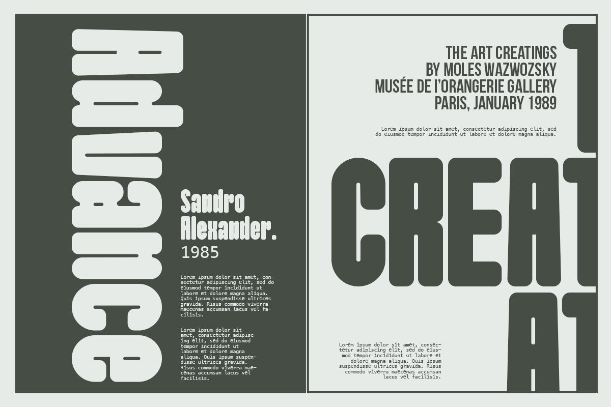 Vigarn - Modern Condensed Font, a Sans Serif Font by Pandeka Studio (Photo 2 of 12)