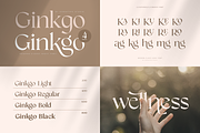 Unique Branding Modern Font Bundle, a Serif Font by Sensatype (Thumbnail 7 of 13)
