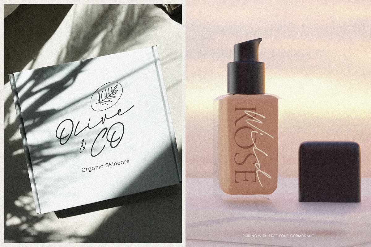Flawlush - Elegant Script, a Script Font by Invasi Studio (Photo 4 of 12)