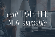 Avarice - serif typeface | 4 fonts, a Serif Font by Only Fonts (Thumbnail 5 of 10)