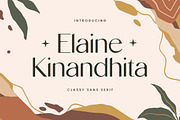 Elaine Kinandhita Classy Sans Serif, a Sans Serif Font by UICreative (Thumbnail 1 of 12)