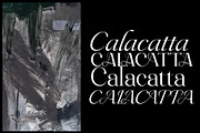 Ceciliany Serif Font Family, a Serif Font by Ryul Davidson (Thumbnail 10 of 25)