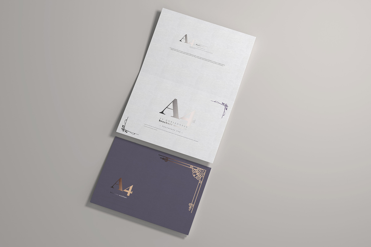 165 Brochure Mock-ups Big Bundle, a Print Template by pmvch (Photo 156 of 170)