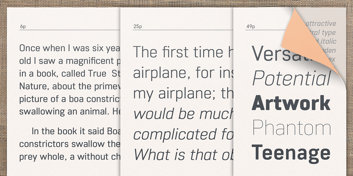 Core Sans R, a Sans Serif Font by S-Core (Photo 4 of 6)