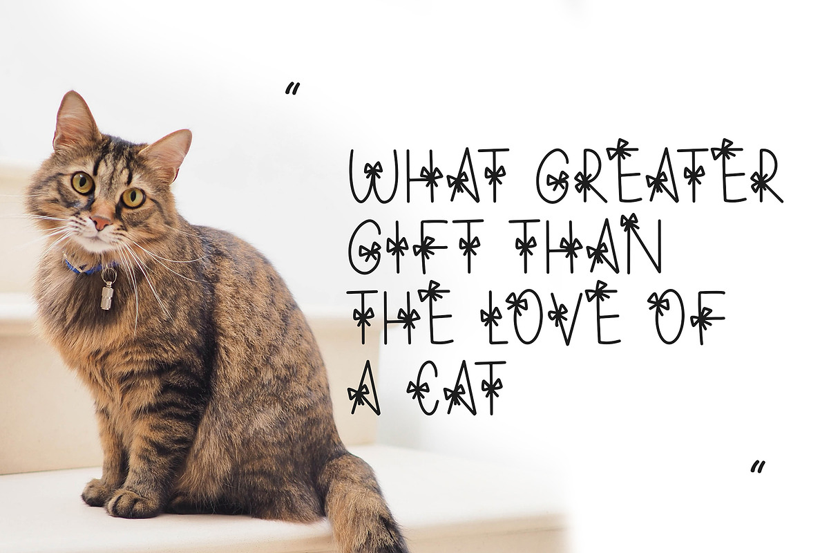 Bapo Party Display Font, a Sans Serif Font by Giant Design (Photo 9 of 10)