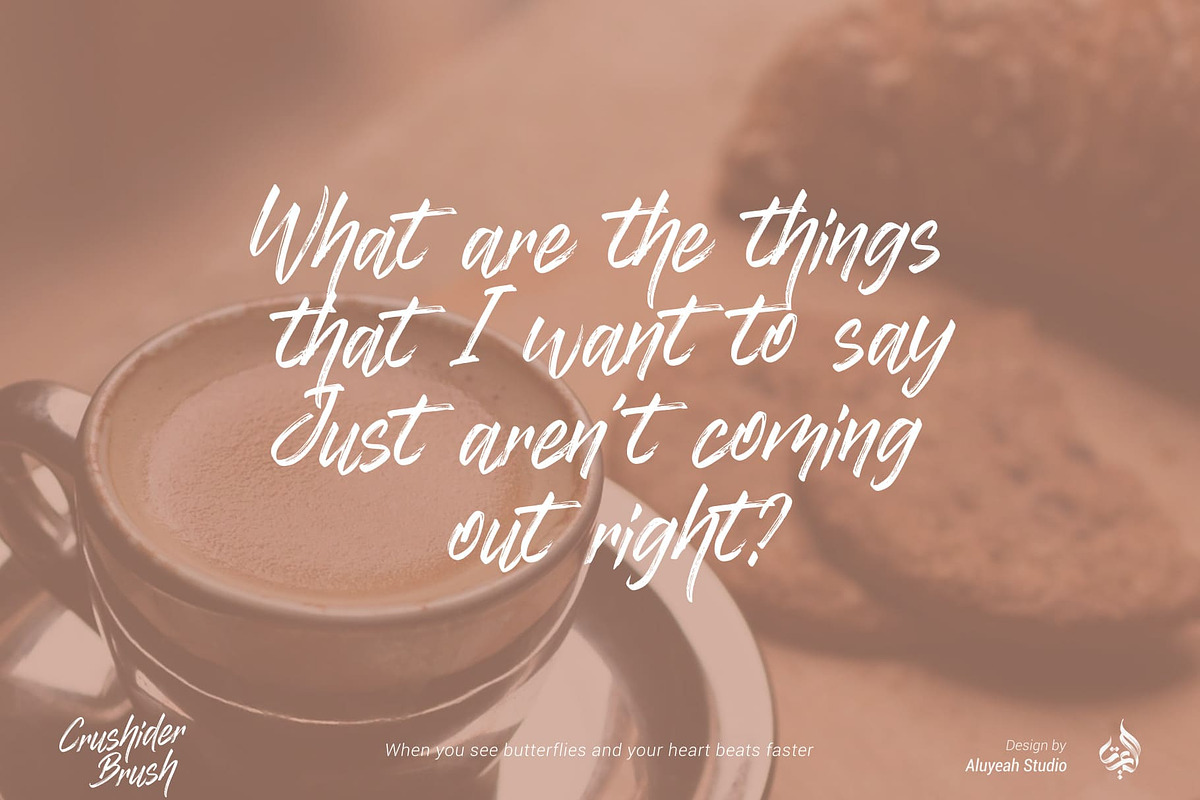 Crushider Brush, a Script Font by Aluyeah Studio (Photo 3 of 14)