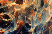 72 Microscopic Fungi Backgrounds, a Background Graphic by h.utomo (Thumbnail 63 of 72)