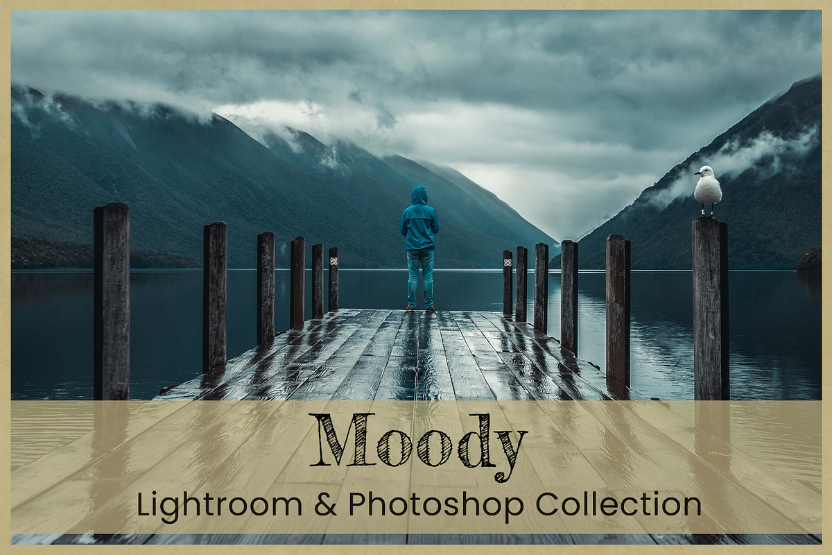 Moody Lightroom Presets Ps ACR LUTs, an Action Add-On by 3Motional (Photo 11 of 11)