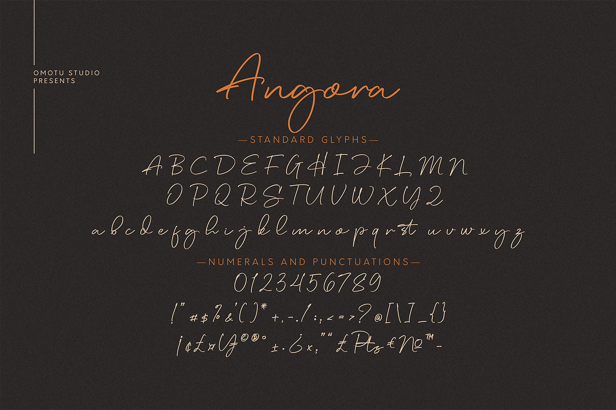 Angora, a Script Font by Omotu Studio (Photo 10 of 12)