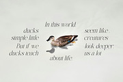 The Elegant Memories ( 32 Fonts ), a Serif Font by IM Studio (Thumbnail 5 of 12)