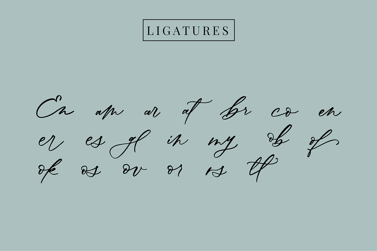 Oh Spring! Calligraphy Font preview 7